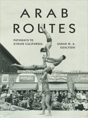 cover image of Arab Routes
